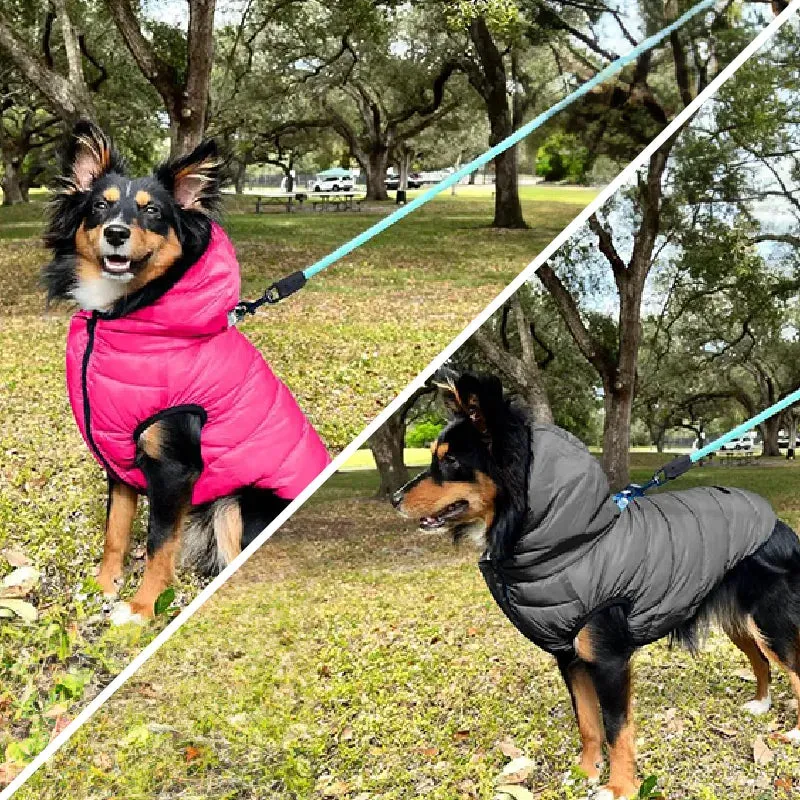 Double Sided Dog Reversible Winter Jacket