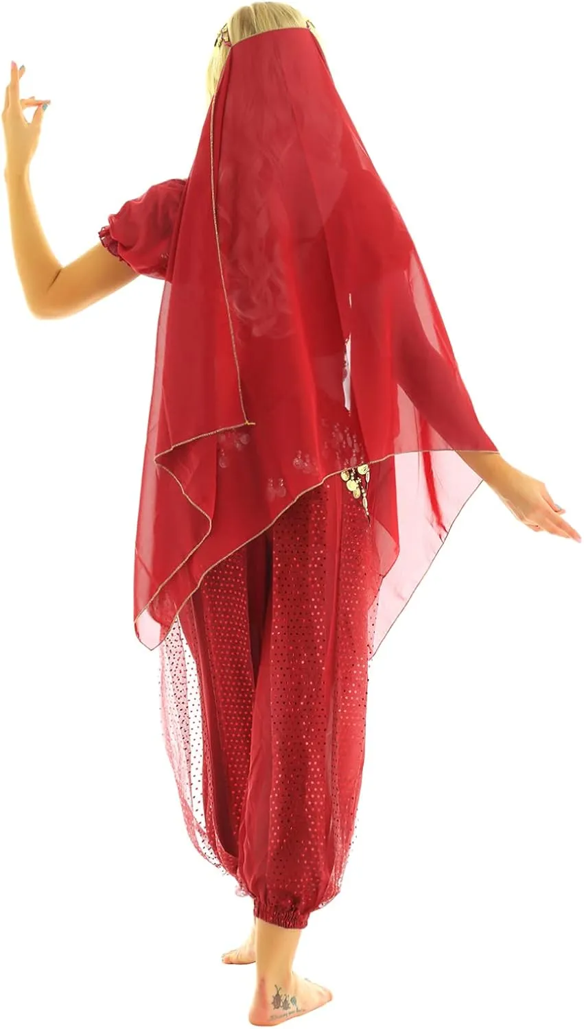 Sxiwei Woman India Belly Dance Costume Bollywood Halloween Dress Outfit Coins Tops Hip Scarf Harem Pants Sets